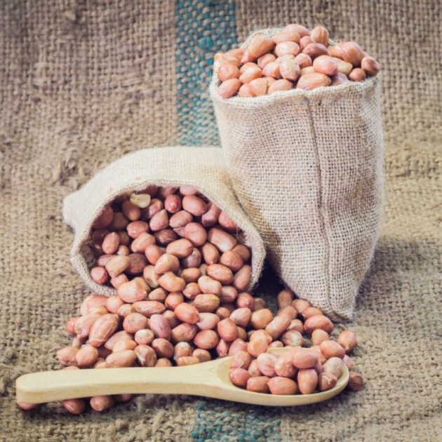 Groundnut