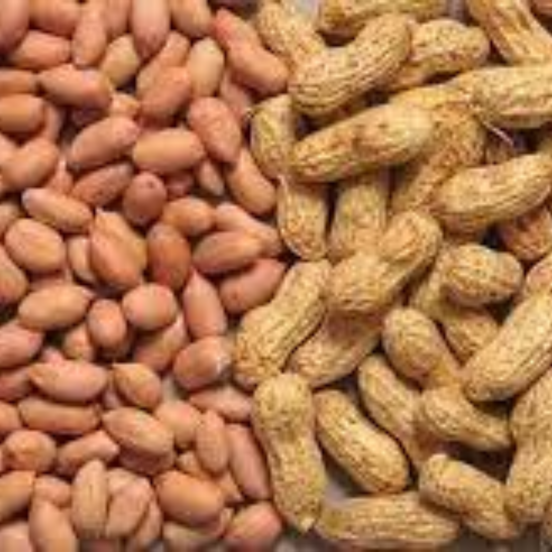 Groundnut - Image 2